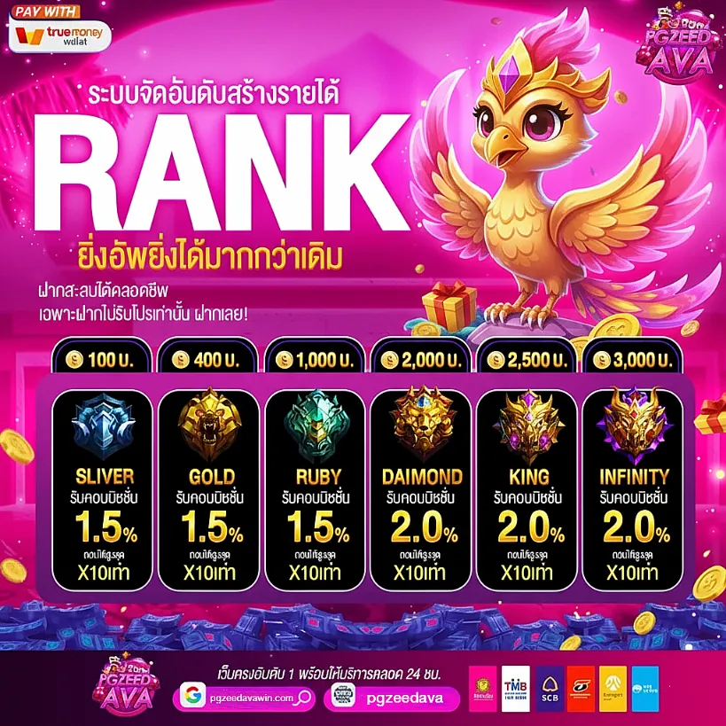 pgzeedava-pro1